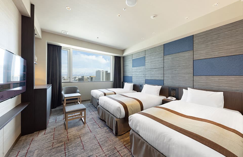 Deluxe twin plus image